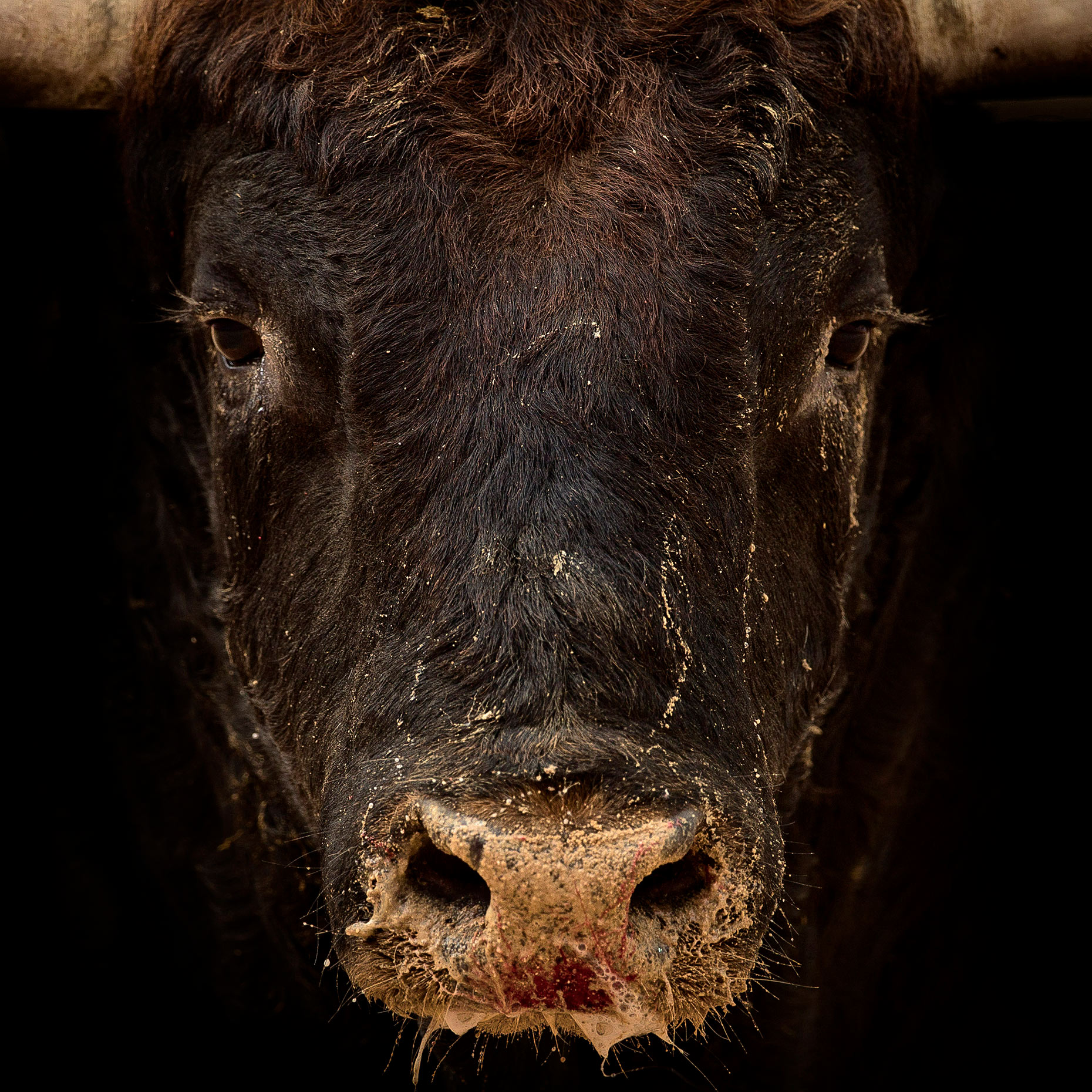 DO_TAUROMAQIA201