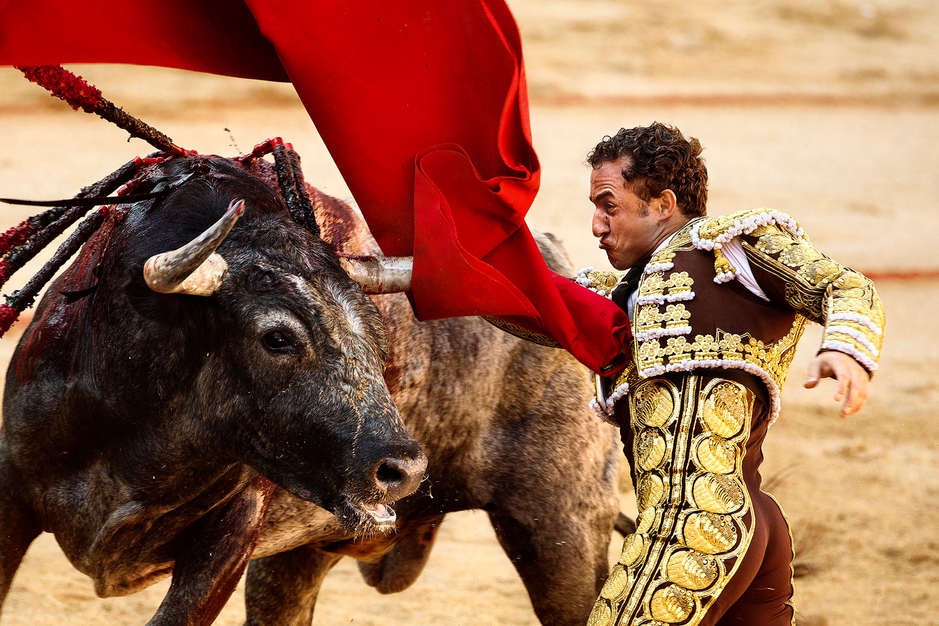 DO_TAUROMAQIA268