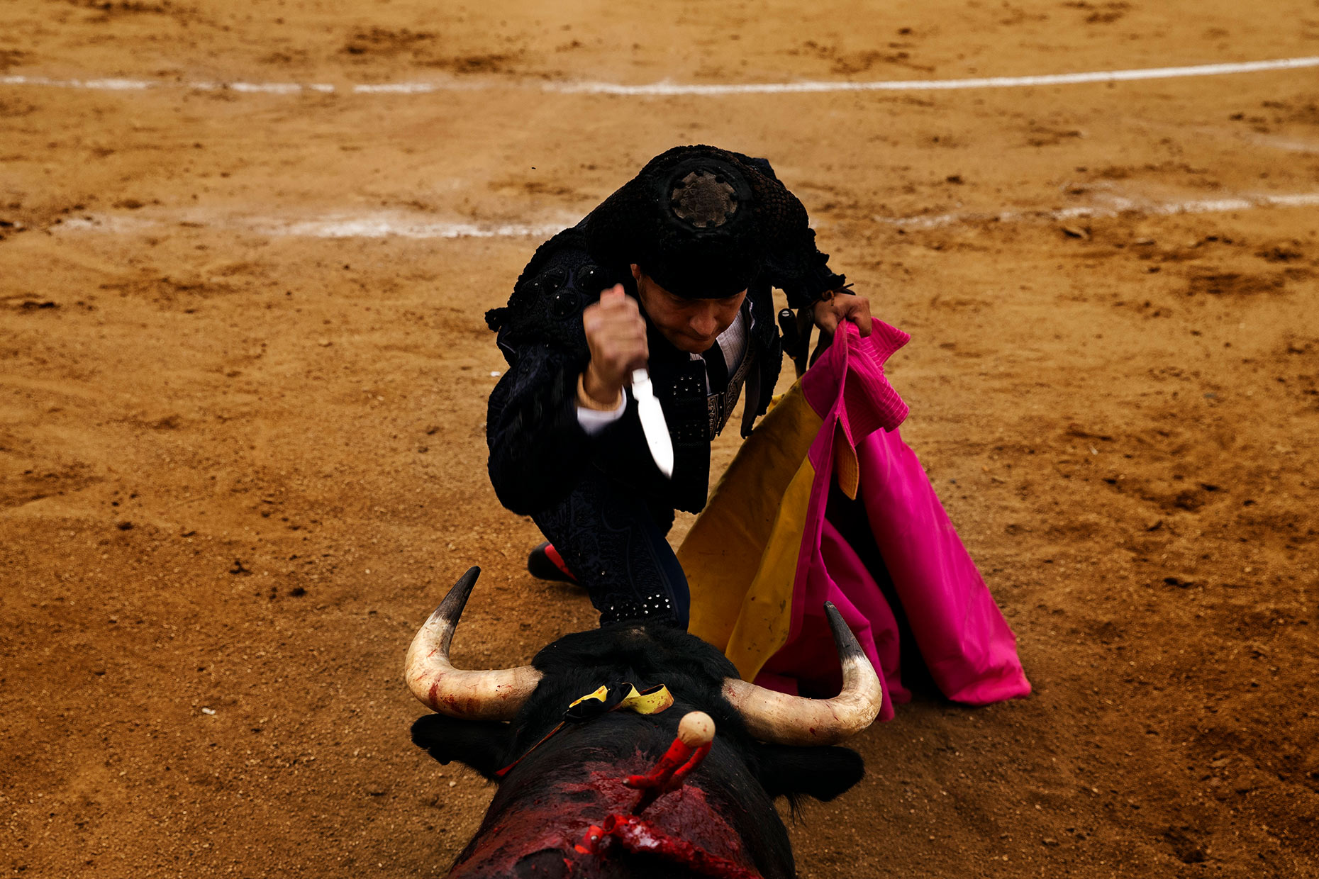 DO_TAUROMAQIA280